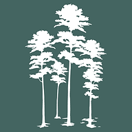 Chattahoochee Valley Dental - Columbus image