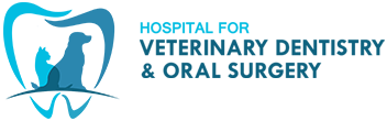 Hospital for Veterinary Dentistry and Oral Surgery image