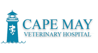 Cape May Veterinary Hospital Logo