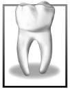 Mora Alfred J DDS image