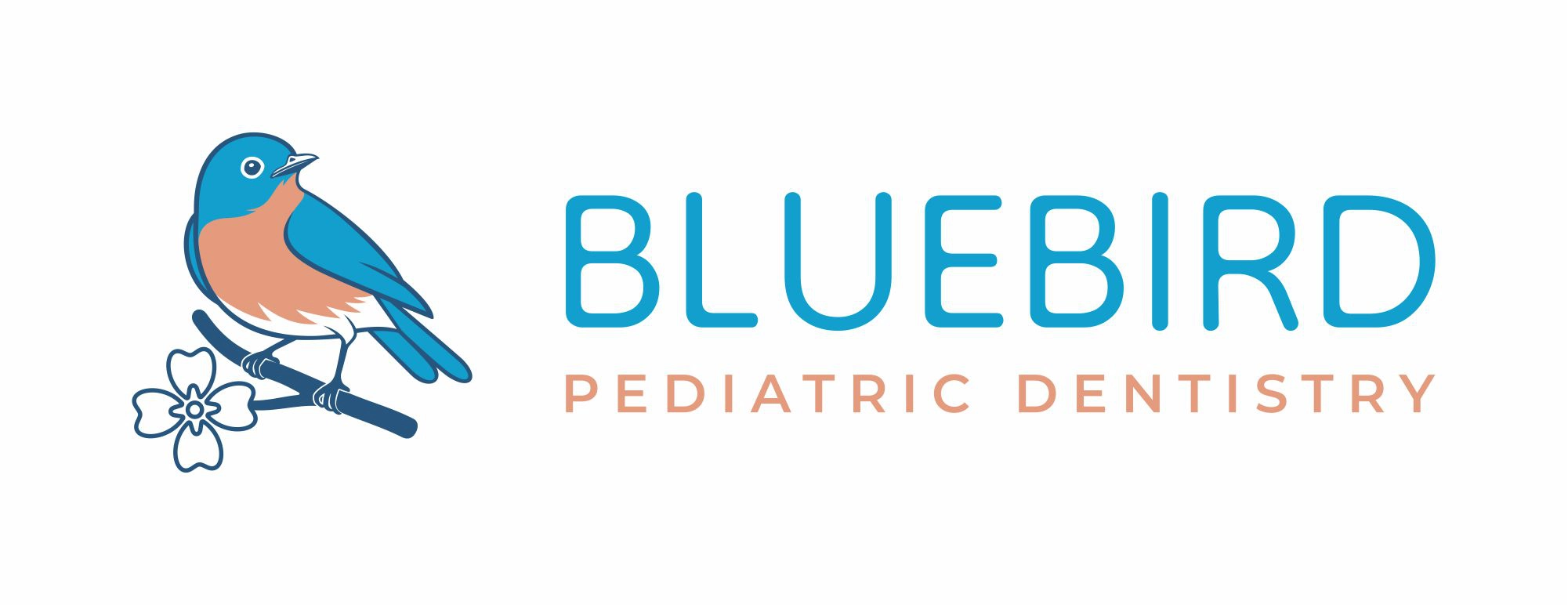 Bluebird Pediatric Dentistry image