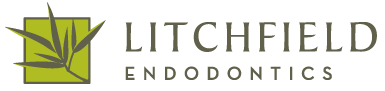 Litchfield Endodontics image