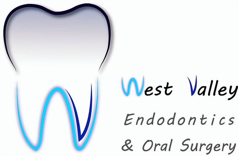LOGO ENDO final0_edited.jpg