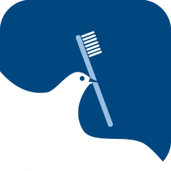 Bellevue Dental Care image