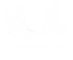 Daruma Dental Logo - Watermark