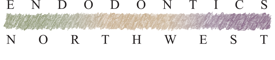Endodontics Northwest image