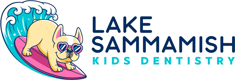 Lake Sammamish Kids Dentistry - Pediatric Dentist image