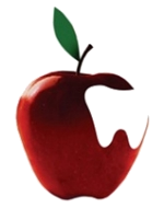 Linda Fukuda, DDS image