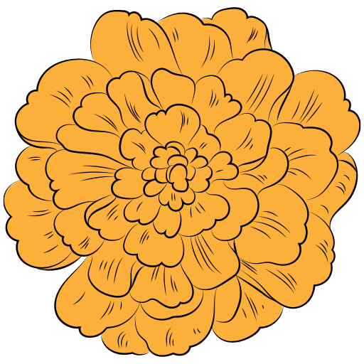 Marigold Dental, Dr. Loveleen Brar image