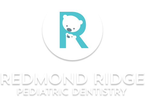 Redmond Ridge Pediatric Dentistry image