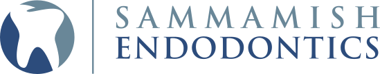 Sammamish Endodontics image