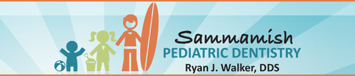 Sammamish Pediatric Dentistry image