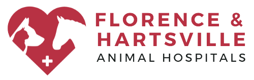 Florence and Hartsville Animal Hospital