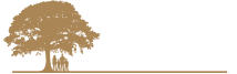 Shirer Family Dentistry image