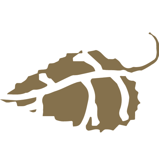 Aspenwood Dental Associates and Colorado Dental Implant Center image