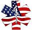 Flag Ambulance Logo