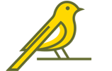 Canary Orthodontics