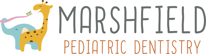 Marshfield Pediatric Dentistry image