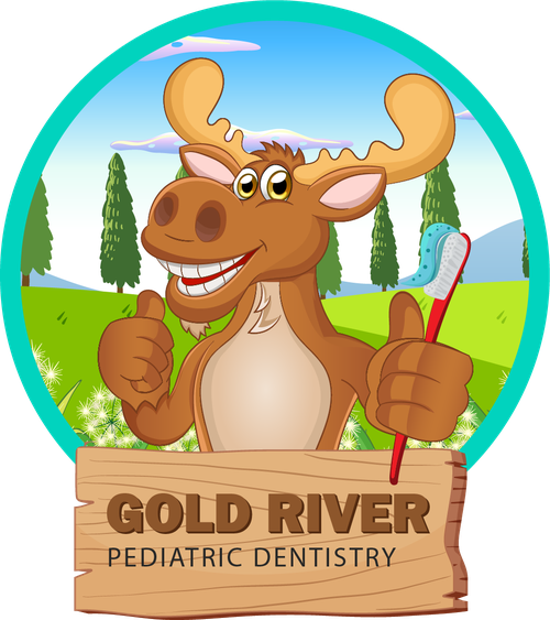 Gold River Pediatric Dentistry image