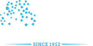 Willow Glen Family Dentistry image