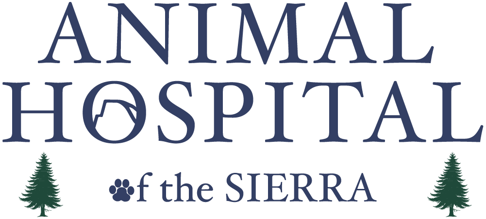 Animal Hospital of the Sierra image