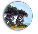 Brian C. Cheng, DDS, MD image