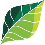 Leaf Family Dentistry image