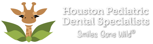 Houston Pediatric Dental Specialists - Pediatric Dentist in Houston, TX image