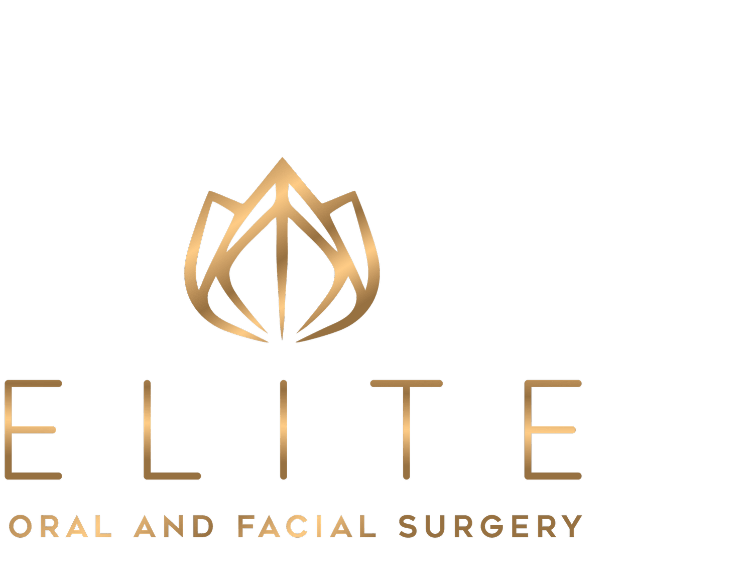 Dr. Elisheva Rosenfeld DDS, MD, FACS image
