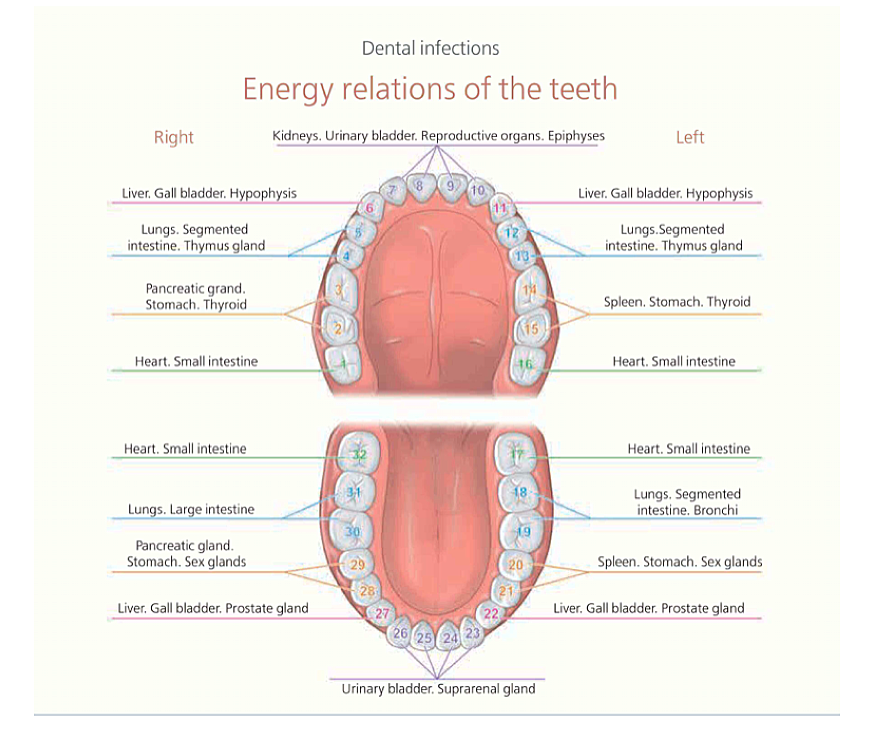 Holistic Biological Dentist image