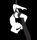 Aerial Dance image
