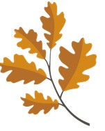 Five Oaks Dental image